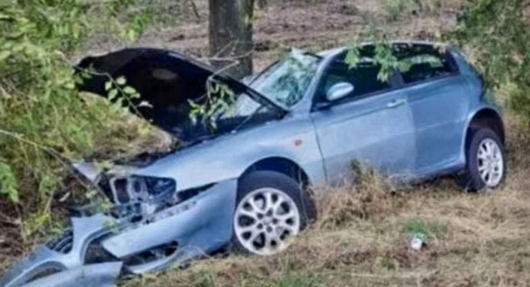 Tragedija izbjegnuta za dlaku: Smrdibuba izazvala haos u vožnji